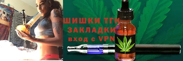 ГАЛЛЮЦИНОГЕННЫЕ ГРИБЫ Ельня