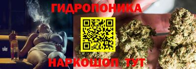 Альфа ПВП Бийск