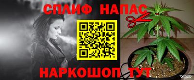 Альфа ПВП Бийск