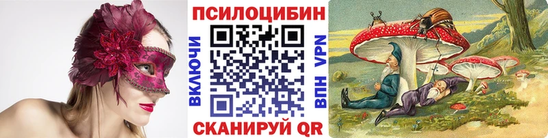 МЕГА ссылка Богородицк Галлюциногенные грибы ЛСД даркнет сайт