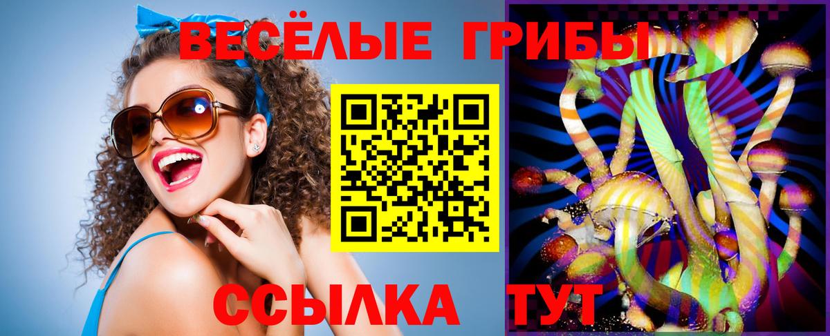 Псилоцибиновые грибы мицелий Богородицк
