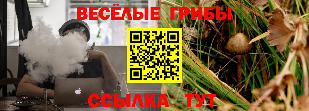Псилоцибиновые грибы Magic Shrooms  Богородицк 